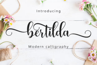 Bertilda Script Font: Elevating Campaign Visuals