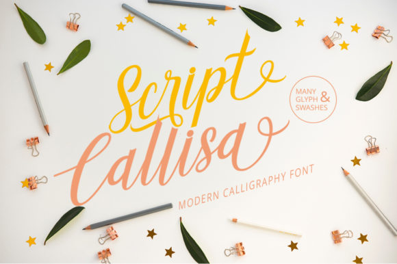 Callisa Script Font: Elevating Campaign Visuals