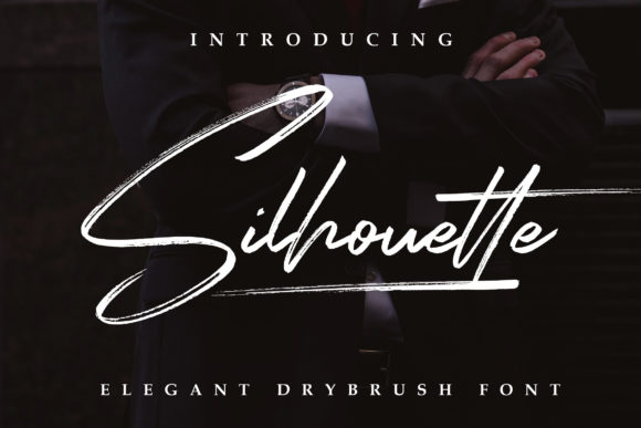 Enhance Your Brand with Silhouette Elegant Font
