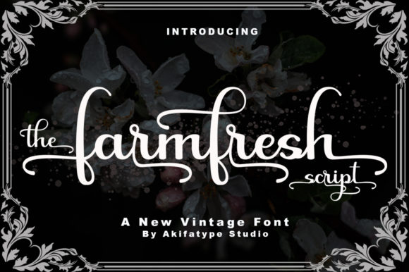 Farmfresh Script Font Review for Web Design