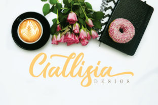 Gallisia Script Font: Modern Typography for Digital Campaigns
