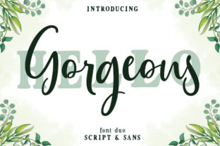 Gorgeous Duo Font Review for Web Design