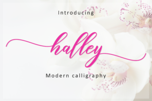 Halley Script Font: A Romantic Typeface for Branding