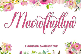 Macrofhyllya Script Font for Editorial Design