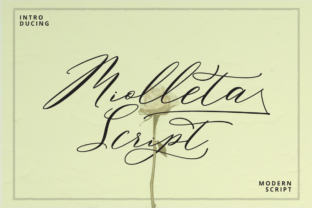 Miolleta Script Font: A Designer’s Campaign Review