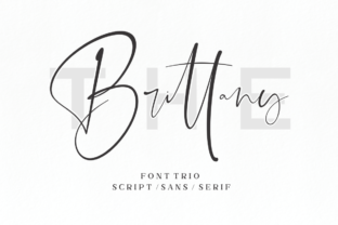 The Brittany Font: Elevating Campaign Visuals