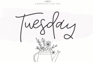 Tuesday Font Review: A Breezy Typeface for Web Design